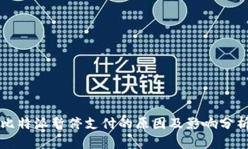 比特派暂停支付的原因及影响分析