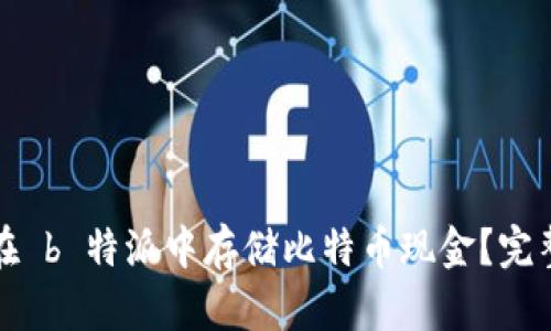 如何在 b 特派中存储比特币现金？完整指南