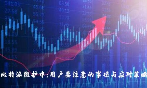 比特派维护中：用户要注意的事项与应对策略