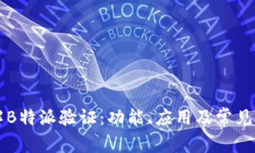 深入了解B特派验证：功能、应用及常见问题解析