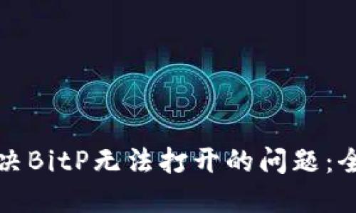 如何解决BitP无法打开的问题：全面指南