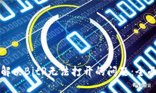如何解决BitP无法打开的问题：全面指南