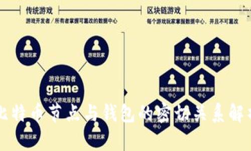 比特币节点与钱包的密切关系解析