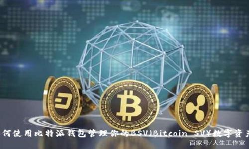 如何使用比特派钱包管理你的BSV（Bitcoin SV）数字资产？