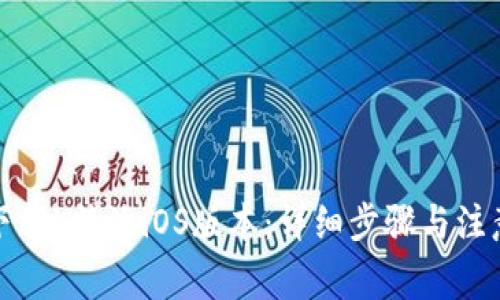 如何下载b特派iOS版本：详细步骤与注意事项