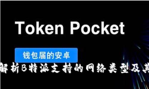 全面解析B特派支持的网络类型及其优势