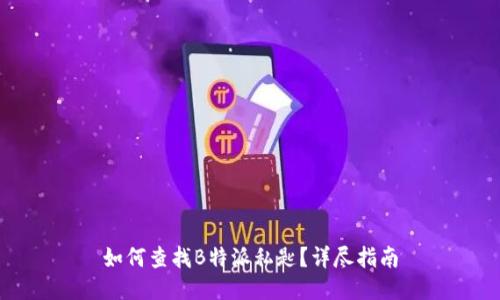 如何查找B特派私匙？详尽指南