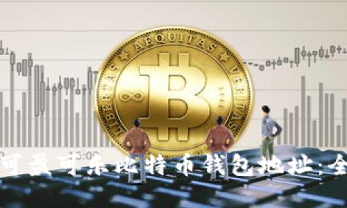 如何找到可盈可乐比特币钱包地址：全方位指南