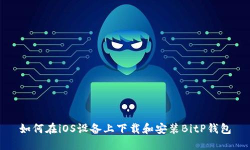 如何在iOS设备上下载和安装BitP钱包