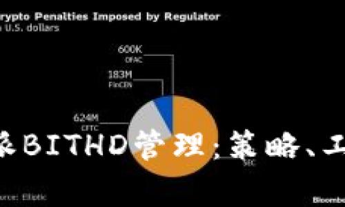 全面解析B特派BITHD管理：策略、工具与实施指南