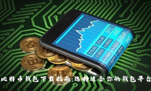 比特币钱包下载指南：选择适合你的钱包平台