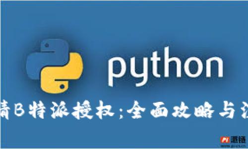 如何申请B特派授权：全面攻略与注意事项
