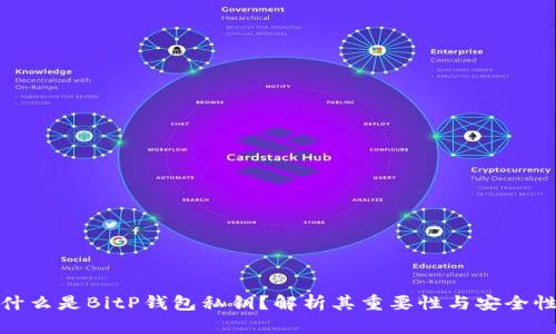 什么是BitP钱包私钥？解析其重要性与安全性