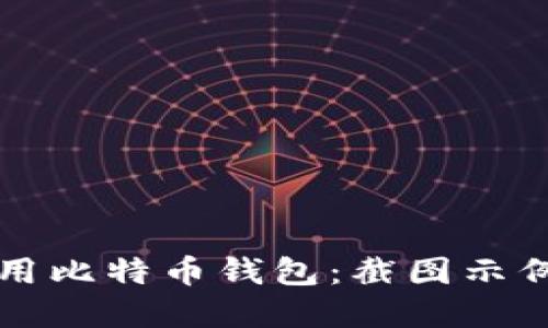 如何安全使用比特币钱包：截图示例与最佳实践