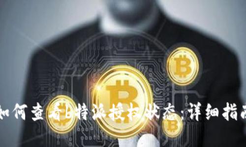 如何查看b特派授权状态：详细指南