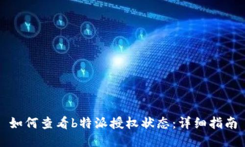如何查看b特派授权状态：详细指南