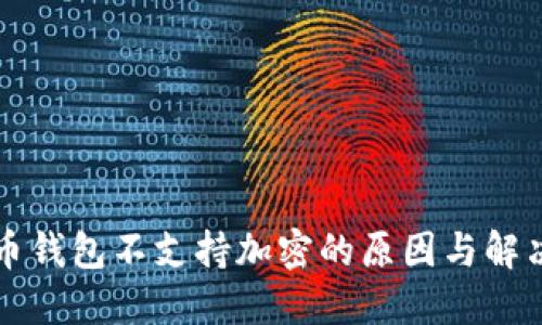 比特币钱包不支持加密的原因与解决方案