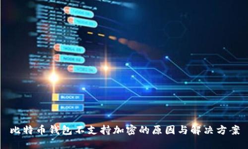 比特币钱包不支持加密的原因与解决方案