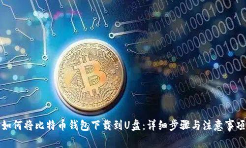如何将比特币钱包下载到U盘：详细步骤与注意事项