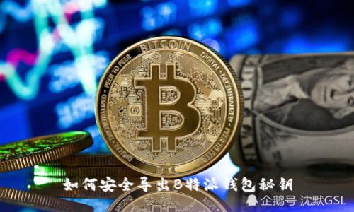 如何安全导出B特派钱包秘钥