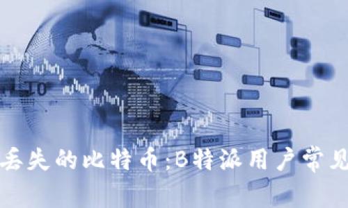 如何找回丢失的比特币：B特派用户常见问题解答