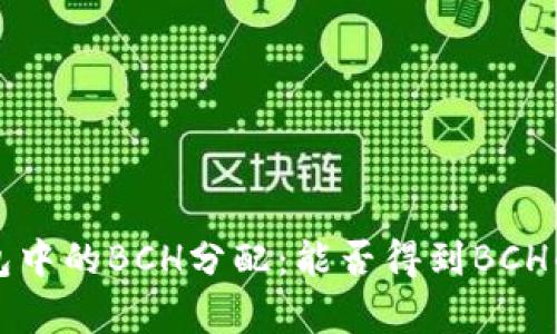 比特币钱包中的BCH分配：能否得到BCH的详细解析