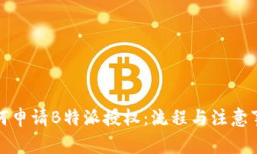 如何申请B特派授权：流程与注意事项