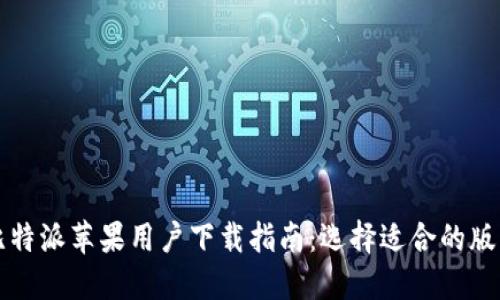 比特派苹果用户下载指南：选择适合的版本