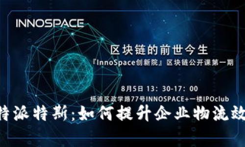 深入解析B特派特斯：如何提升企业物流效率与竞争力