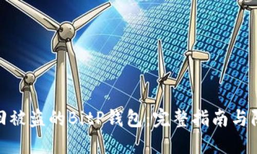如何找回被盗的BitP钱包：完整指南与防护措施