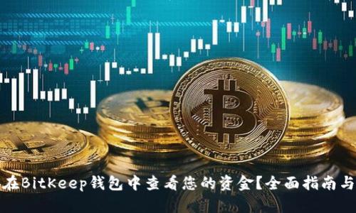 如何在BitKeep钱包中查看您的资金？全面指南与技巧
