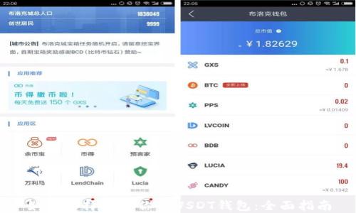 
如何选择适合你的USDT钱包：全面指南