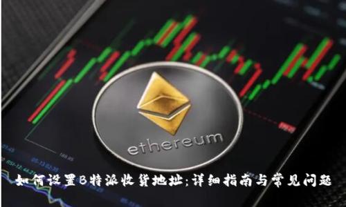 如何设置B特派收货地址：详细指南与常见问题