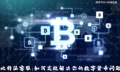 
比特派客服：如何高效解决你的数字货币问题