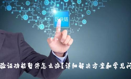 比特派验证功能暂停怎么办？详细解决方案和常见问题解答