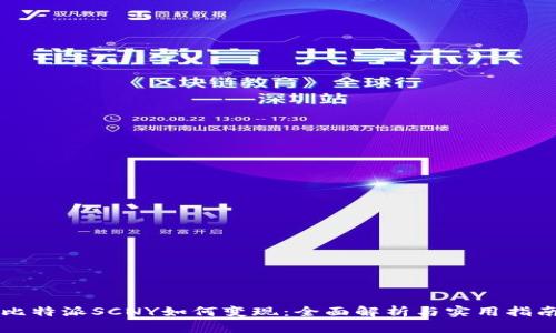 比特派SCNY如何变现：全面解析与实用指南