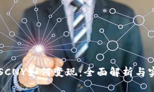 比特派SCNY如何变现：全面解析与实用指南