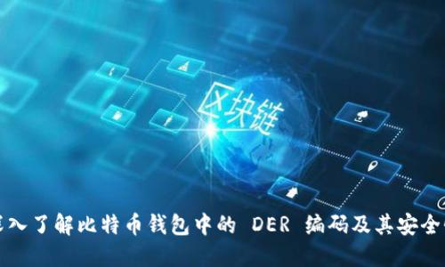 深入了解比特币钱包中的 DER 编码及其安全性