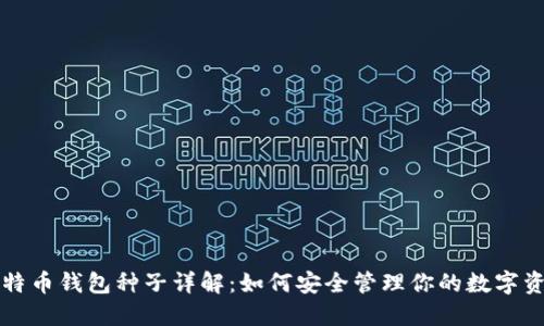 比特币钱包种子详解：如何安全管理你的数字资产