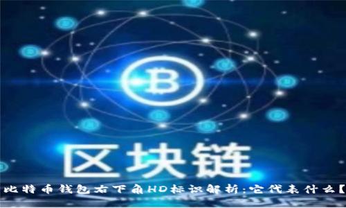 比特币钱包右下角HD标识解析：它代表什么？