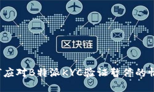 如何应对B特派KYC验证暂停的情况？