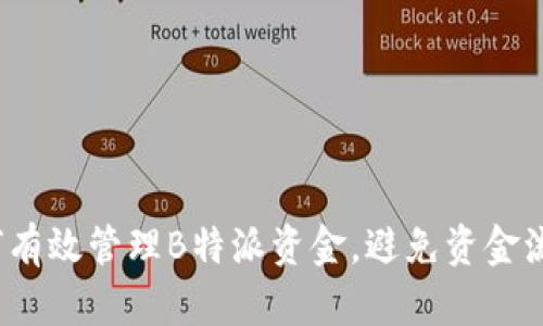 如何有效管理B特派资金，避免资金流失？