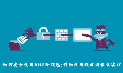 如何安全使用BitP冷钱包：详细使用教程与最佳实践