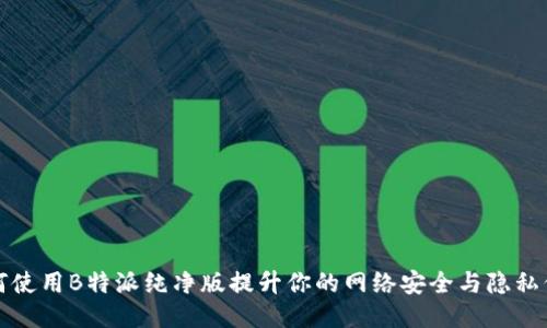 如何使用B特派纯净版提升你的网络安全与隐私保护