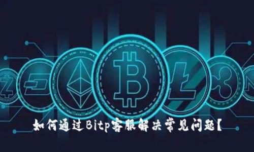 如何通过Bitp客服解决常见问题？