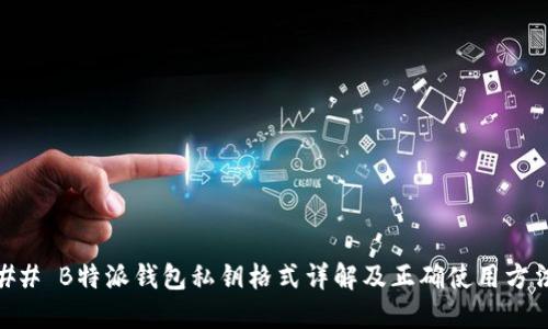 ## B特派钱包私钥格式详解及正确使用方法