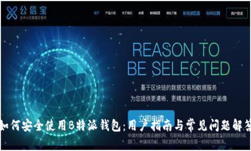 如何安全使用B特派钱包：用户指南与常见问题解答