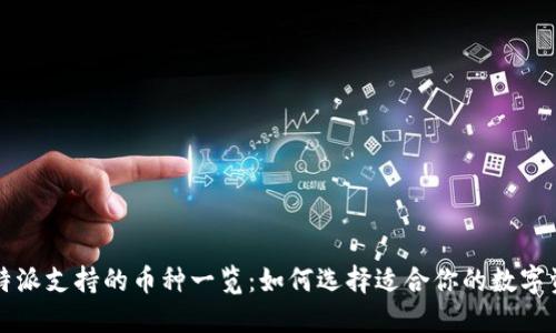 比特派支持的币种一览：如何选择适合你的数字资产