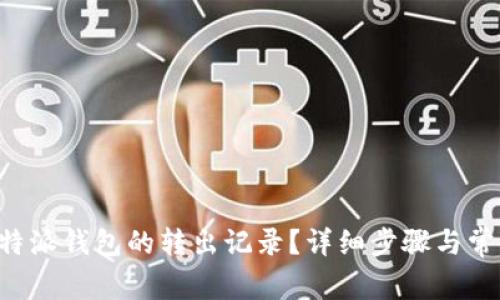 如何查询B特派钱包的转出记录？详细步骤与常见问题解析