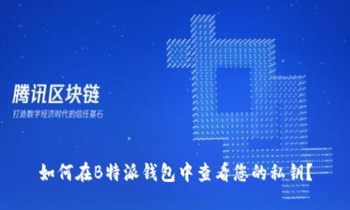 如何在B特派钱包中查看您的私钥？
